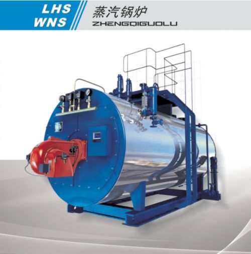 蒸汽燃?xì)忮仩t